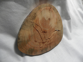 Seagull � Pine � Item 123