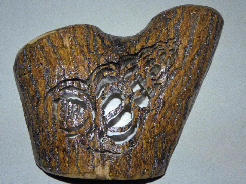 Conch Seashell Light � Scrolled - Locust - Item 237