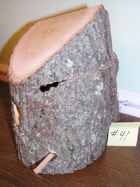 Log - Locust - Item 41 - SOLD