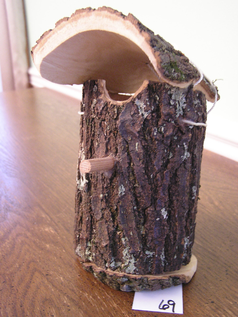 Log - Locust - Item 69