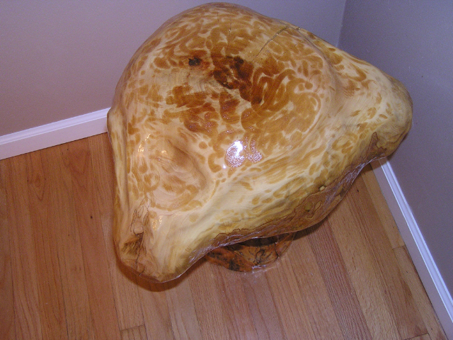 Toadstool - Sycamore / Pine - Item B