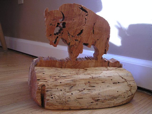 Buffalo - Willow - Item J